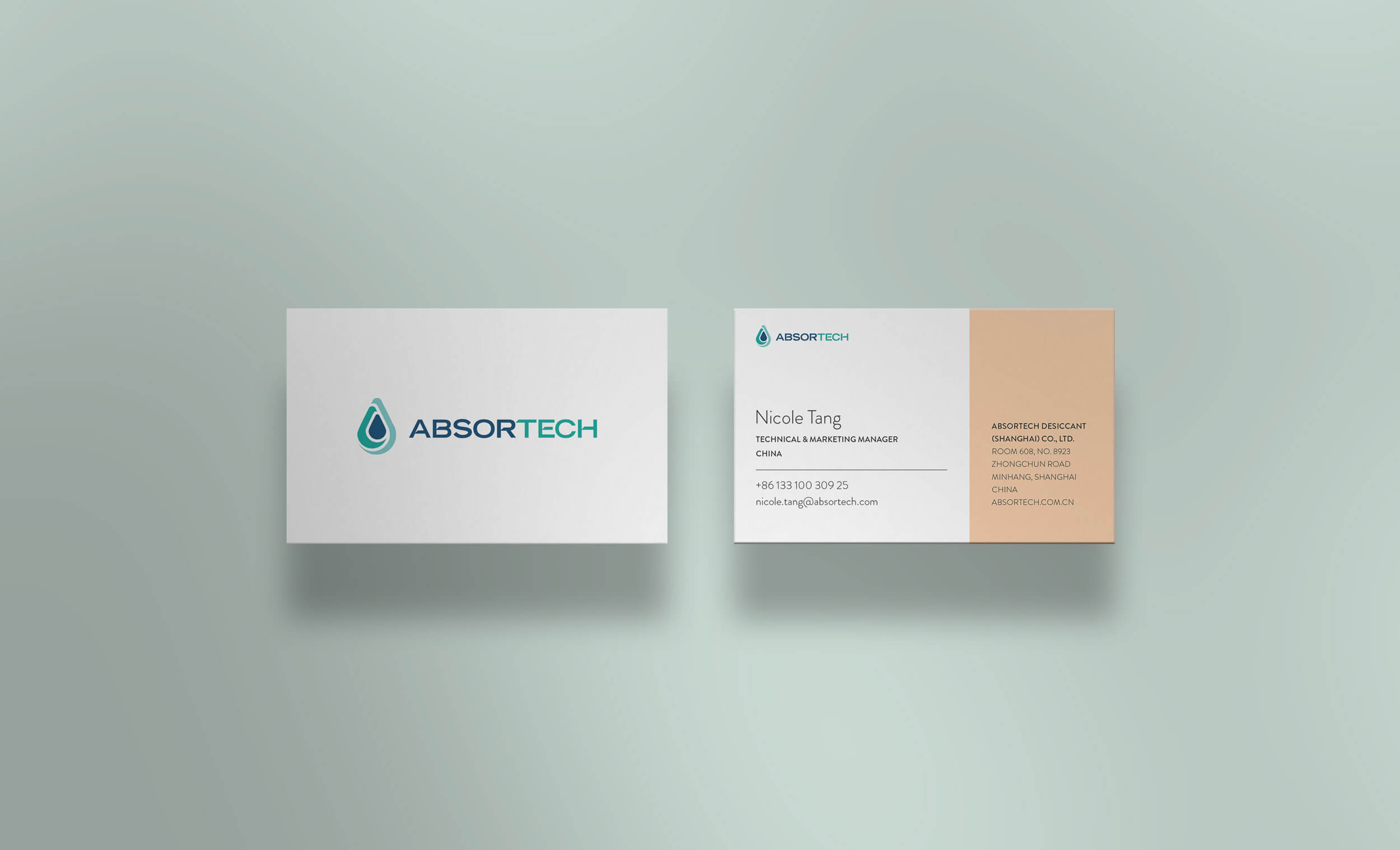 Hstd webb- & reklambyrå case Absortech