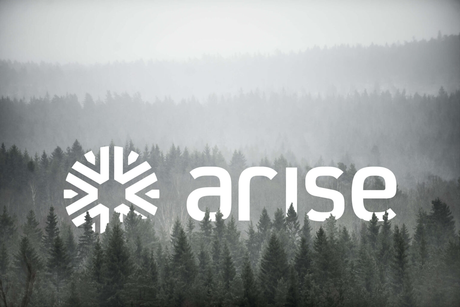 Hstd webb- & reklambyrå case Arise